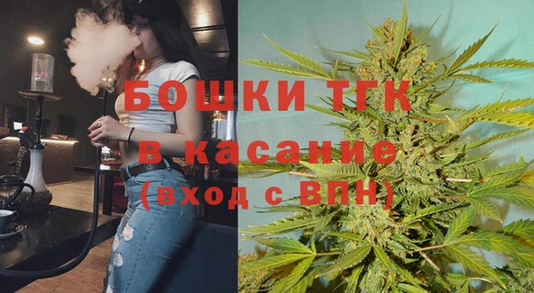 ешки Аркадак