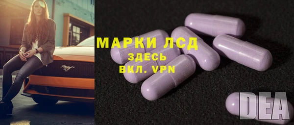 ешки Аркадак