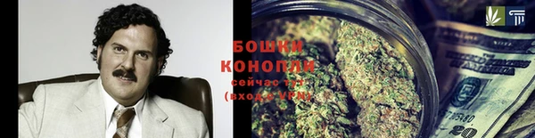 ешки Аркадак