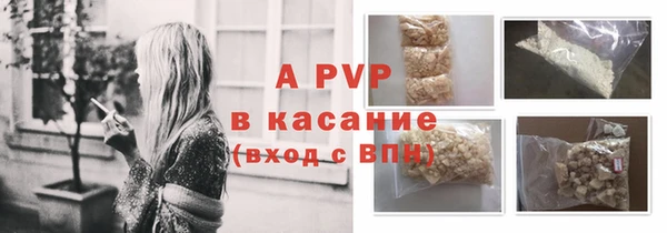 ешки Аркадак