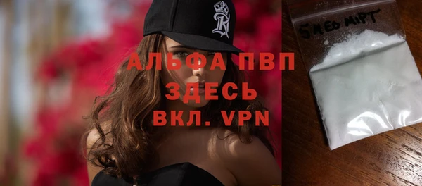 ешки Аркадак